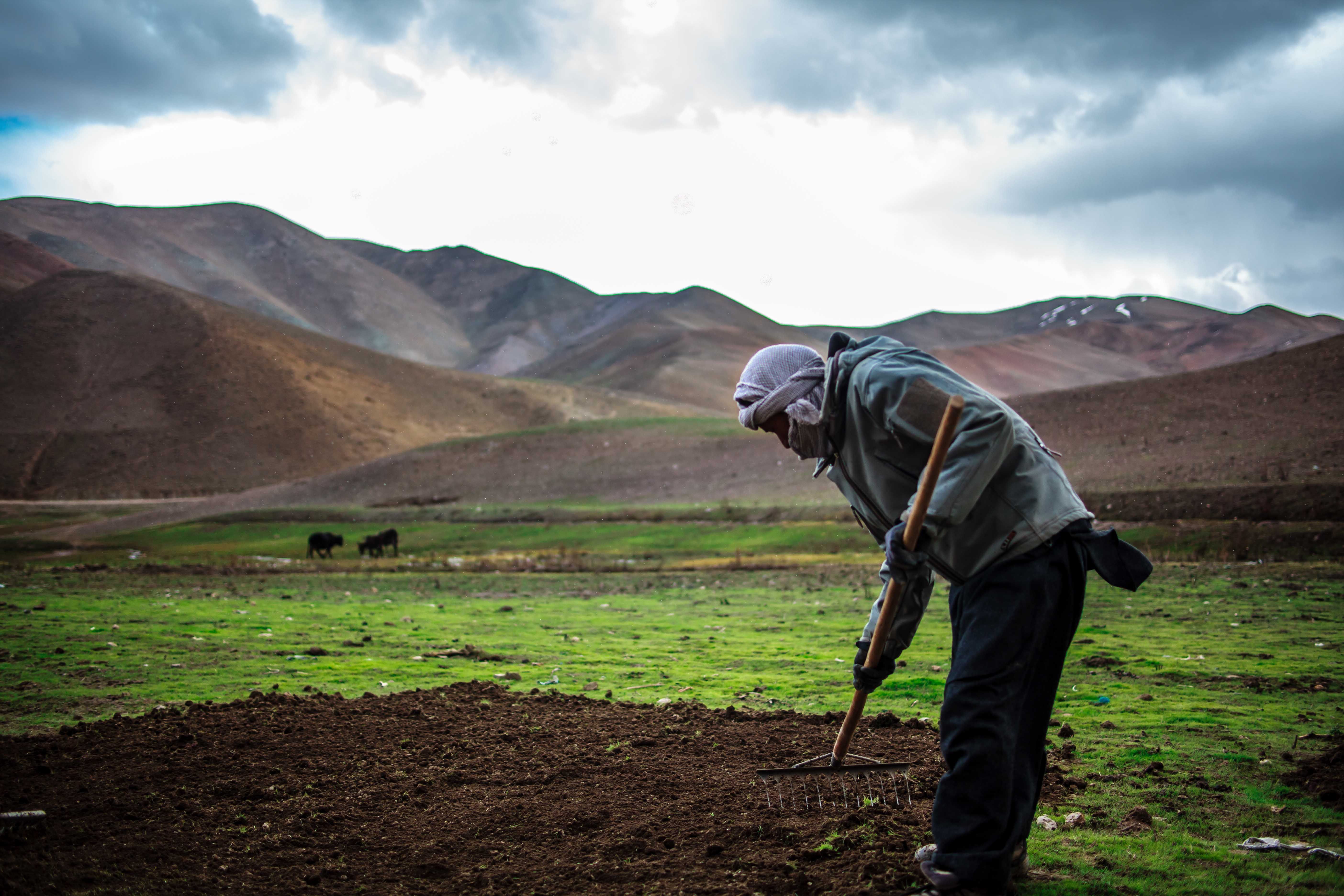 A man farming in the mountains of Afghanistan