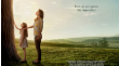 Miracles from Heaven: Where is God when life goes wrong?