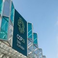 What did COP29 achieve?