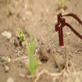 'When God brings renewal, leadership is vital'