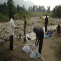 Sowing seeds on sandy soil