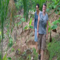 Agroforestry in the Amazon